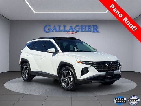 Used 2024 Hyundai Tucson Limited image 1