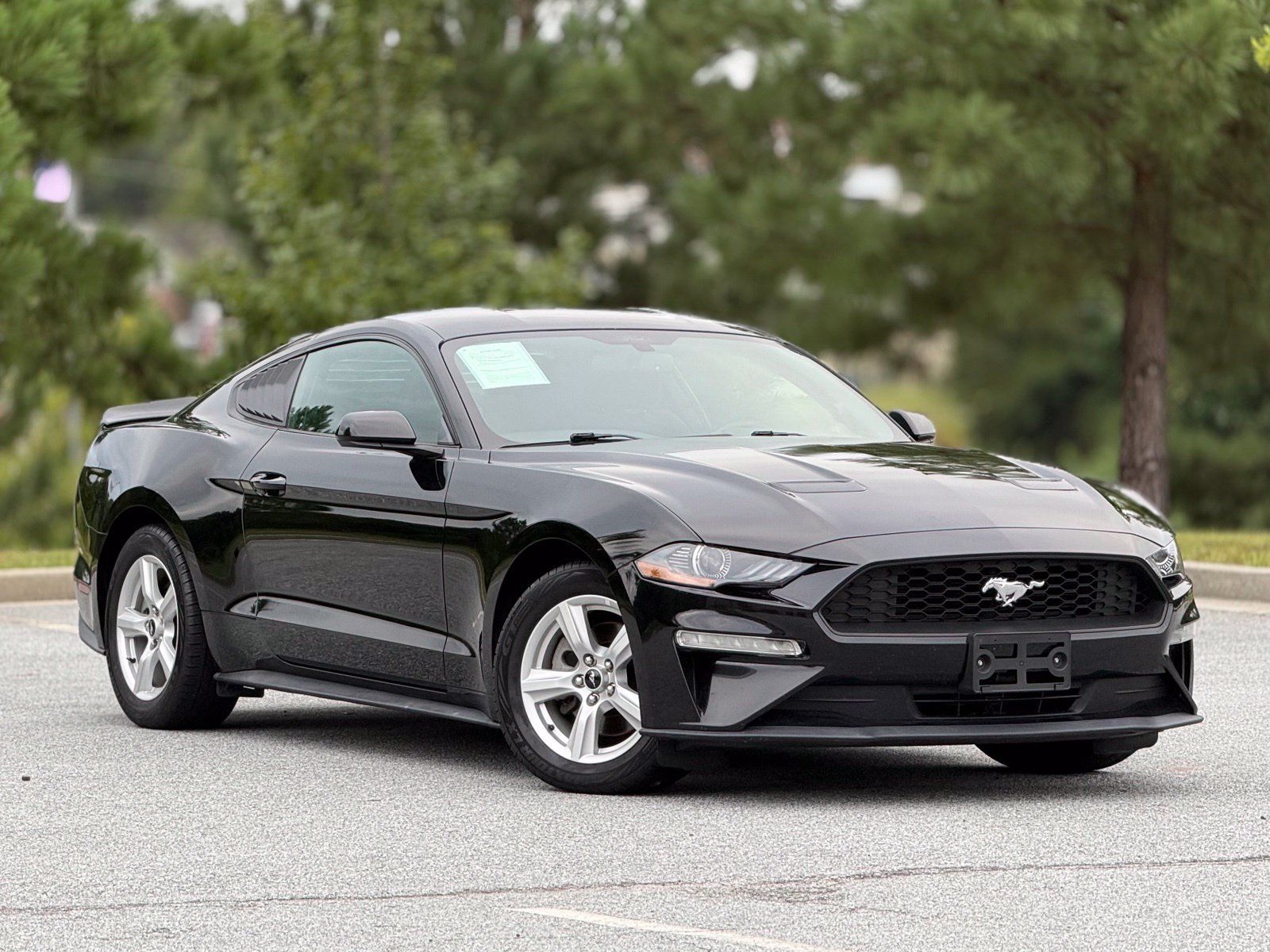 Used 2019 Ford Mustang Coupe RWD image 13