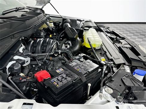 New 2025 Ford F150 XLT w/ Equipment Group 302A MID image 19