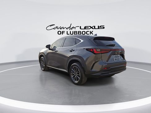 New 2026 Lexus NX 350h 350h Premium image 6
