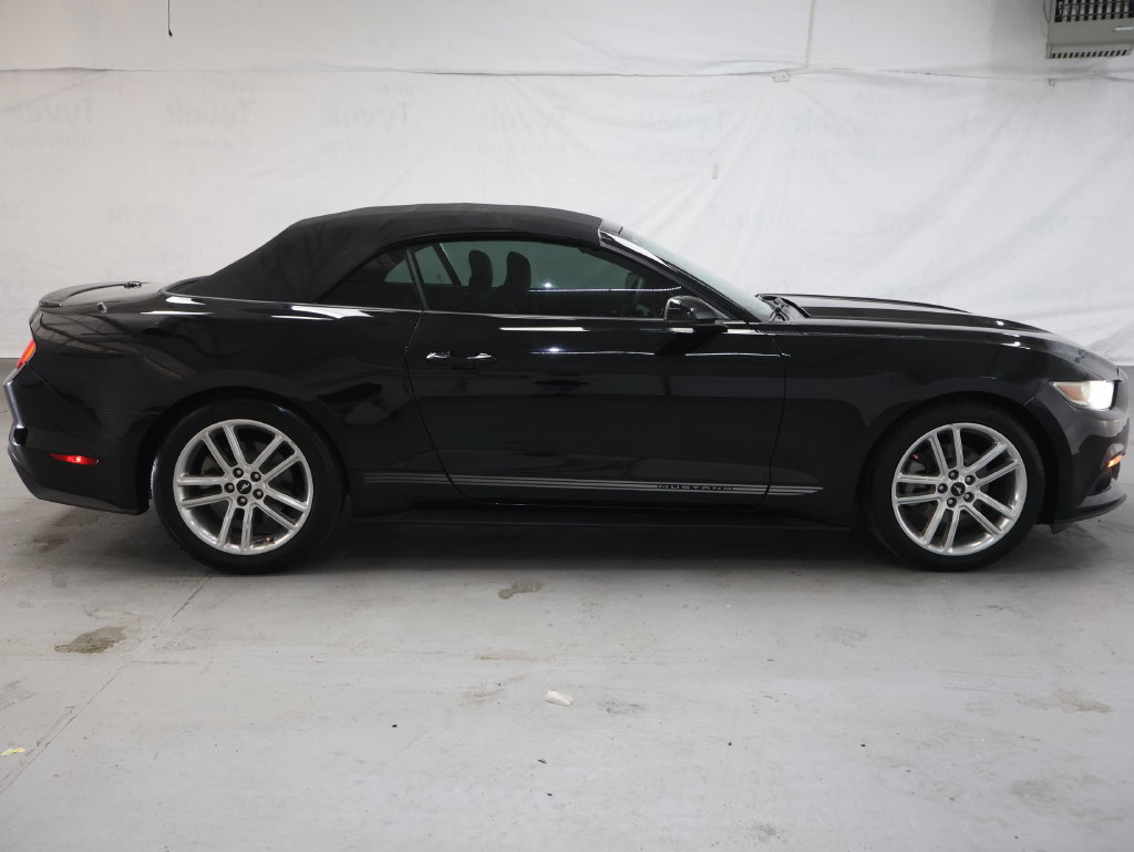 Used 2017 Ford Mustang Premium w/ Equipment Group 201A RWD image 8