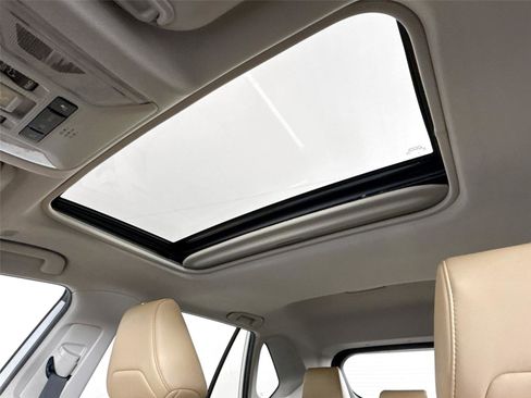 Certified 2023 Toyota RAV4 XLE Premium image 6