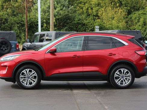 Used 2022 Ford Escape SEL image 5