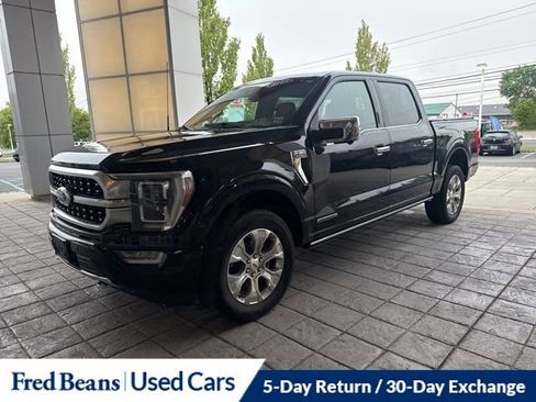 Used 2023 Ford F150 Platinum w/ Equipment Group 701A High AWD/4WD image 19
