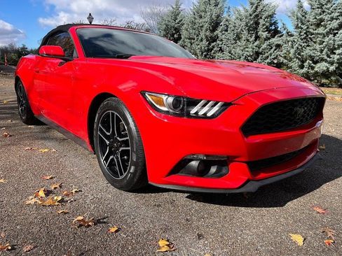 Used 2016 Ford Mustang Premium image 30