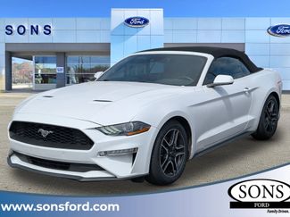 Used 2021 Ford Mustang Premium video 1
