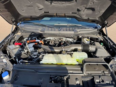 New 2025 Ford F150 XLT w/ Equipment Group 302A MID image 11