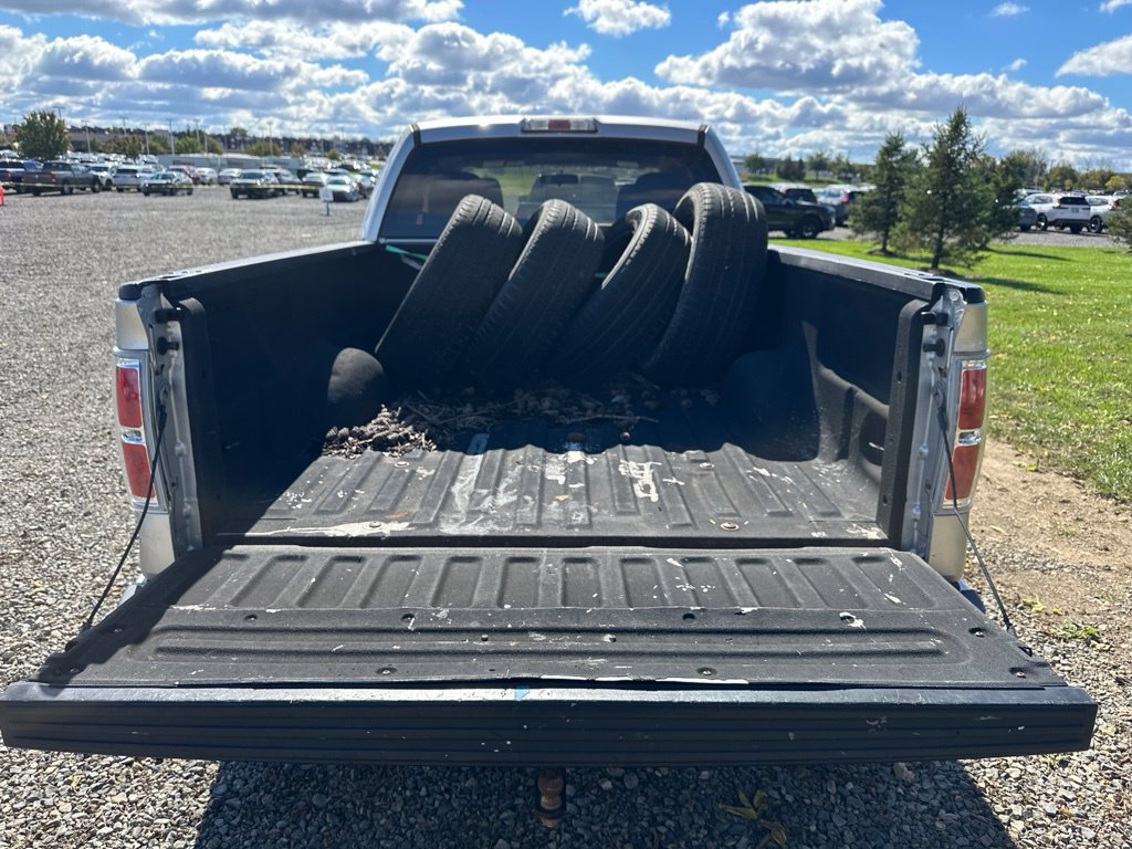 Used 2014 Ford F150 STX w/ Equipment Group 201A Mid RWD image 11