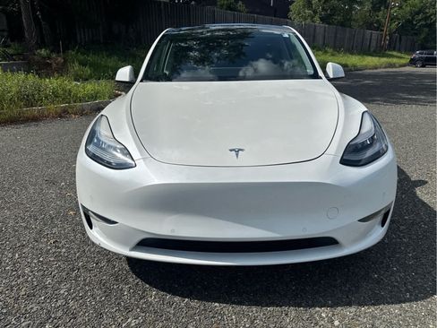 Used 2020 Tesla Model Y Long Range AWD/4WD image 2