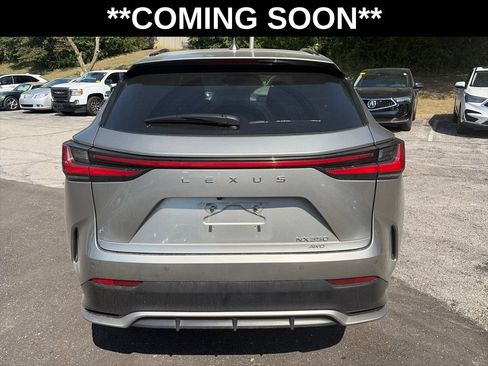 Used 2024 Lexus NX 350 F Sport AWD/4WD image 6