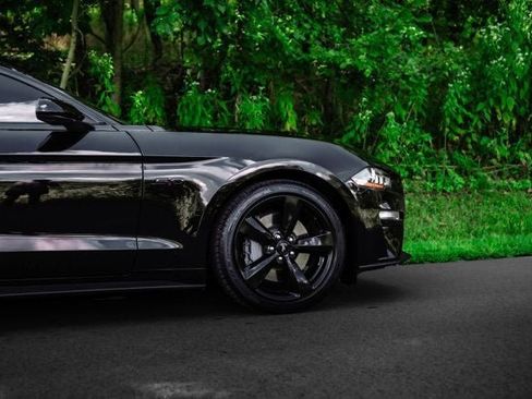 Used 2023 Ford Mustang GT Premium w/ Mustang Nite Pony Package RWD image 12