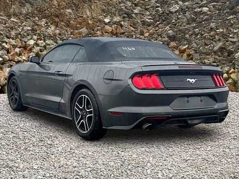 Used 2018 Ford Mustang Premium image 10