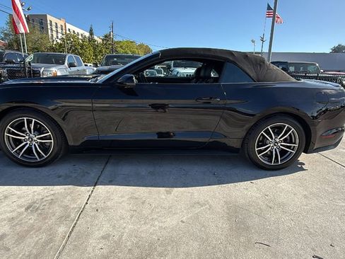 Used 2016 Ford Mustang Premium w/ Equipment Group 201A image 11