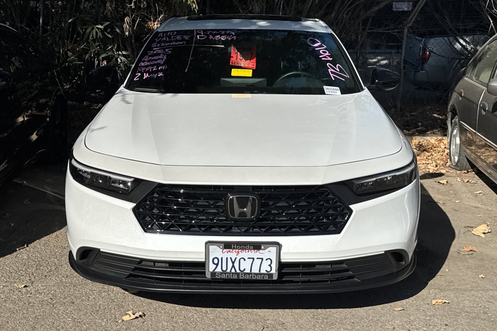 Used 2025 Honda Accord Sport image 3