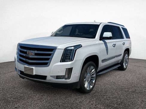 Used 2019 Cadillac Escalade 2WD image 1