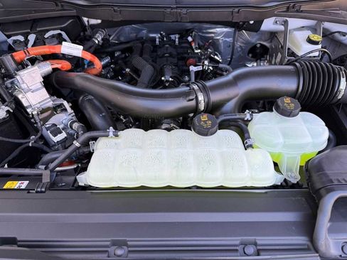 New 2025 Ford F150 XLT w/ Equipment Group 302A MID image 35