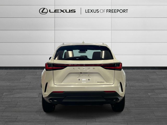 Certified 2024 Lexus NX 250 FWD w/ Cold Area Package image 5
