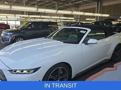 Used 2024 Ford Mustang Premium
