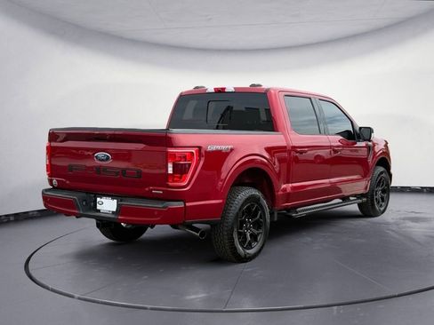 Used 2021 Ford F150 XLT w/ Equipment Group 302A High AWD/4WD image 7