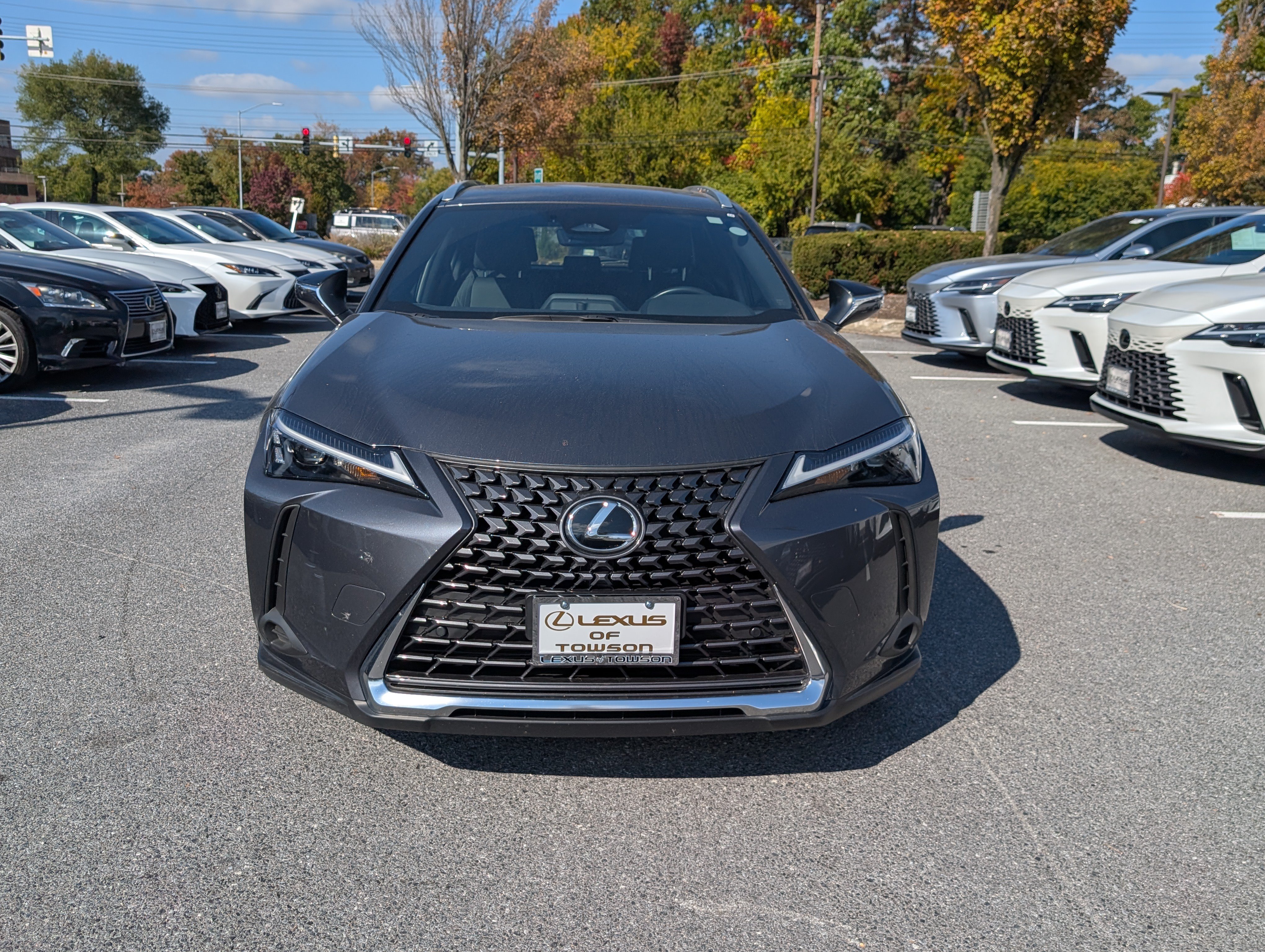 Used 2025 Lexus UX 300h AWD w/ Cold Area Package image 8