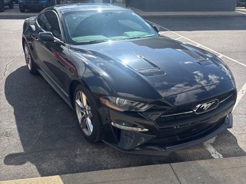 Used 2019 Ford Mustang Premium w/ Equipment Group 201A RWD image 5