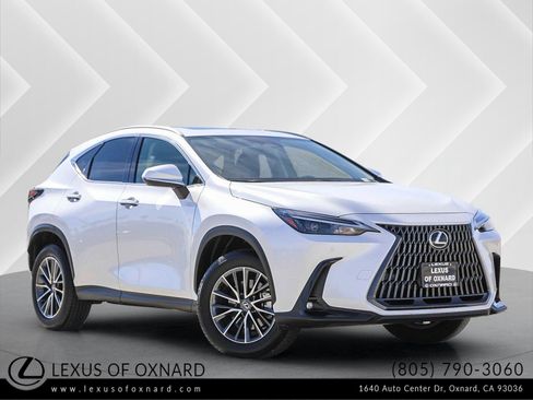 Used 2025 Lexus NX 250 250 Base image 1