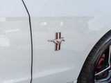 Used 2014 Ford Mustang Premium w/ Equipment Group 202A image 4