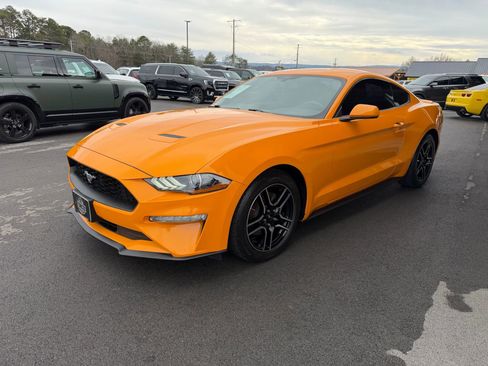 Used 2019 Ford Mustang Coupe w/ Equipment Group 101A RWD image 2