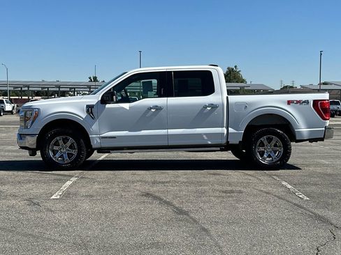 Used 2021 Ford F150 XLT w/ Equipment Group 302A High AWD/4WD image 6