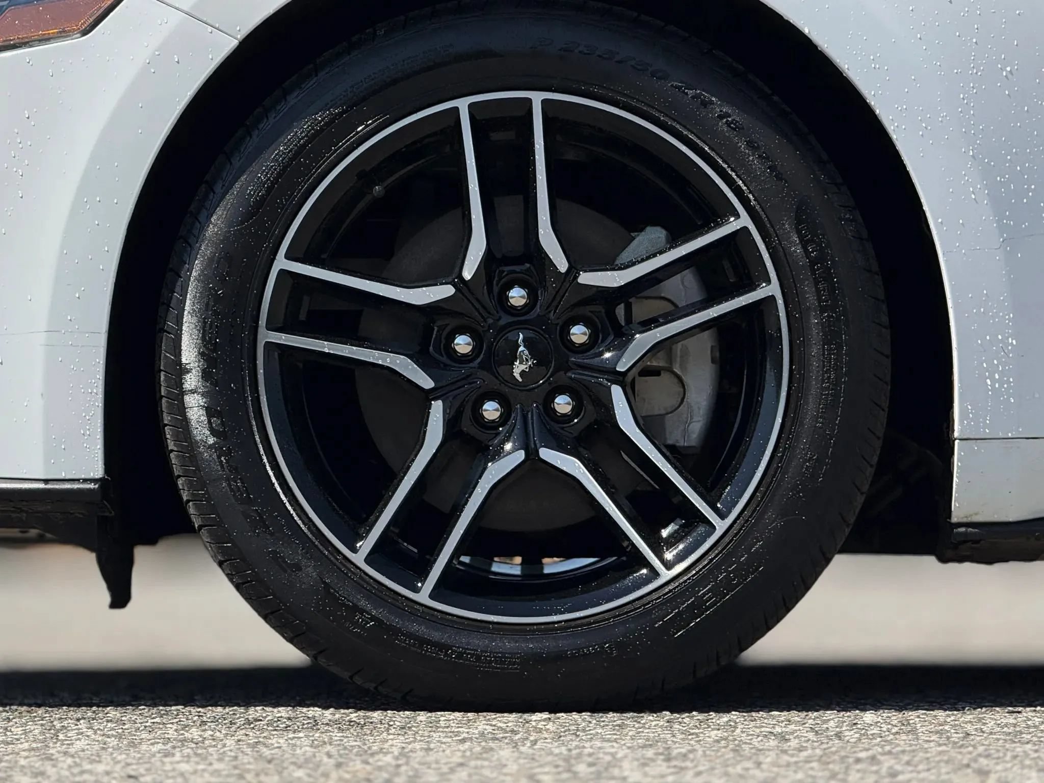Used 2023 Ford Mustang Premium RWD image 30