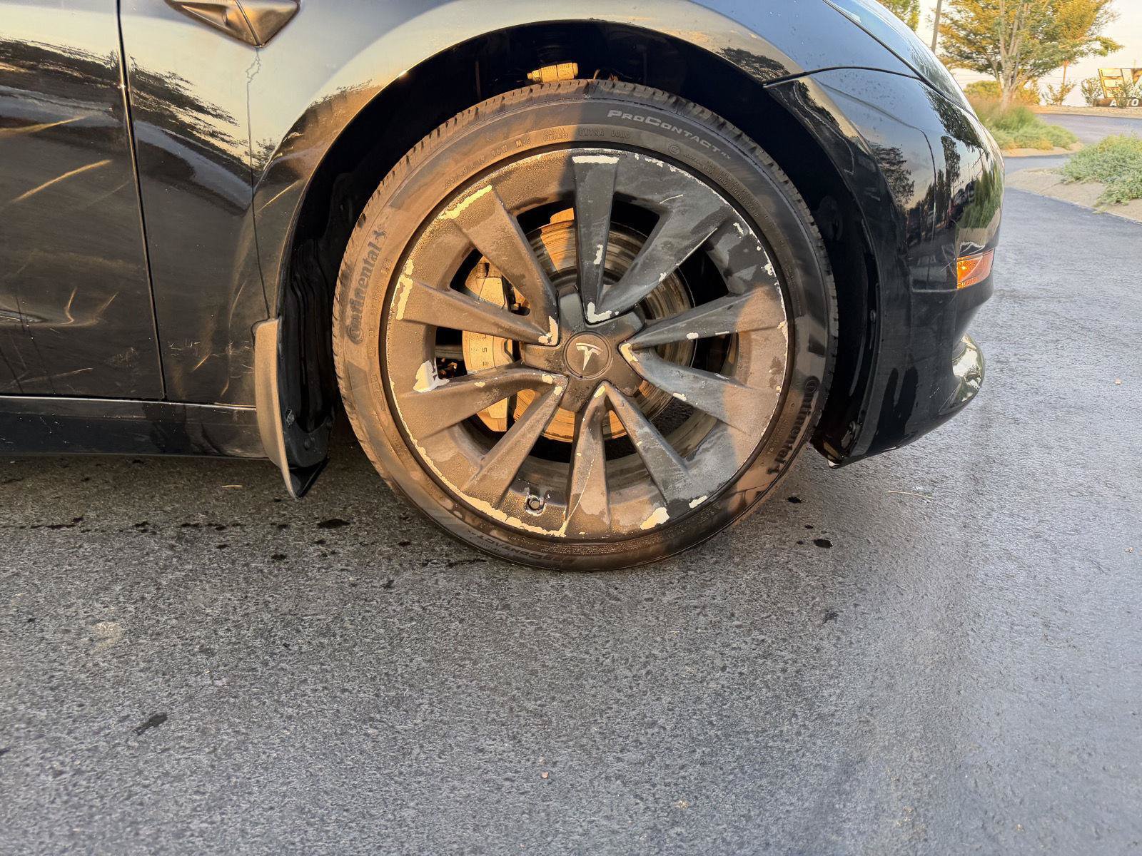 Used 2023 Tesla Model 3 Standard Range RWD image 10