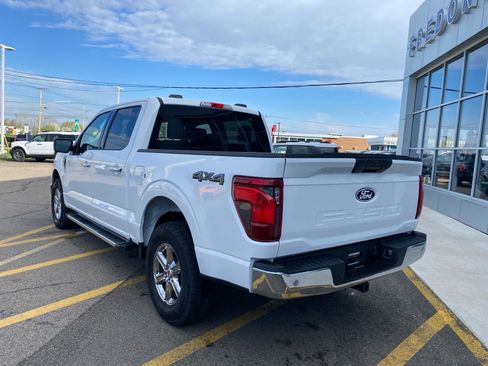 Used 2025 Ford F150 XLT w/ Equipment Group 301A Standard AWD/4WD image 3