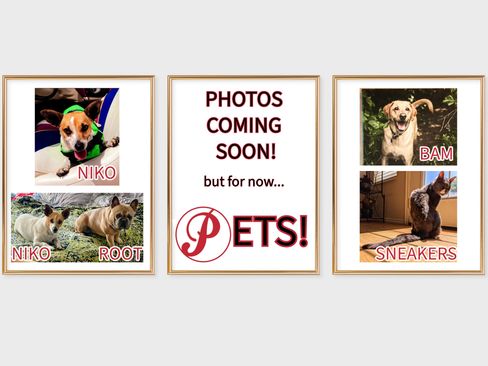 Used 2022 Ford Transit 350 XLT image 12