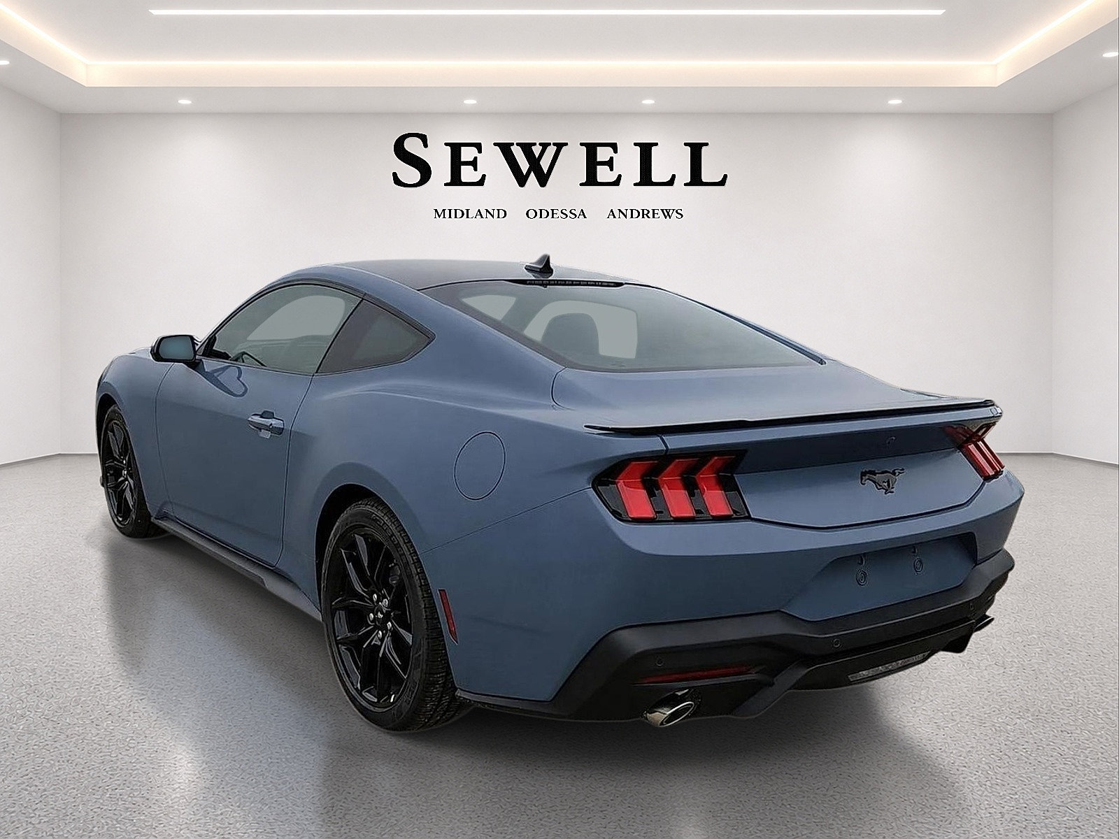 New 2026 Ford Mustang Coupe w/ Mustang Nite Pony Package RWD image 3