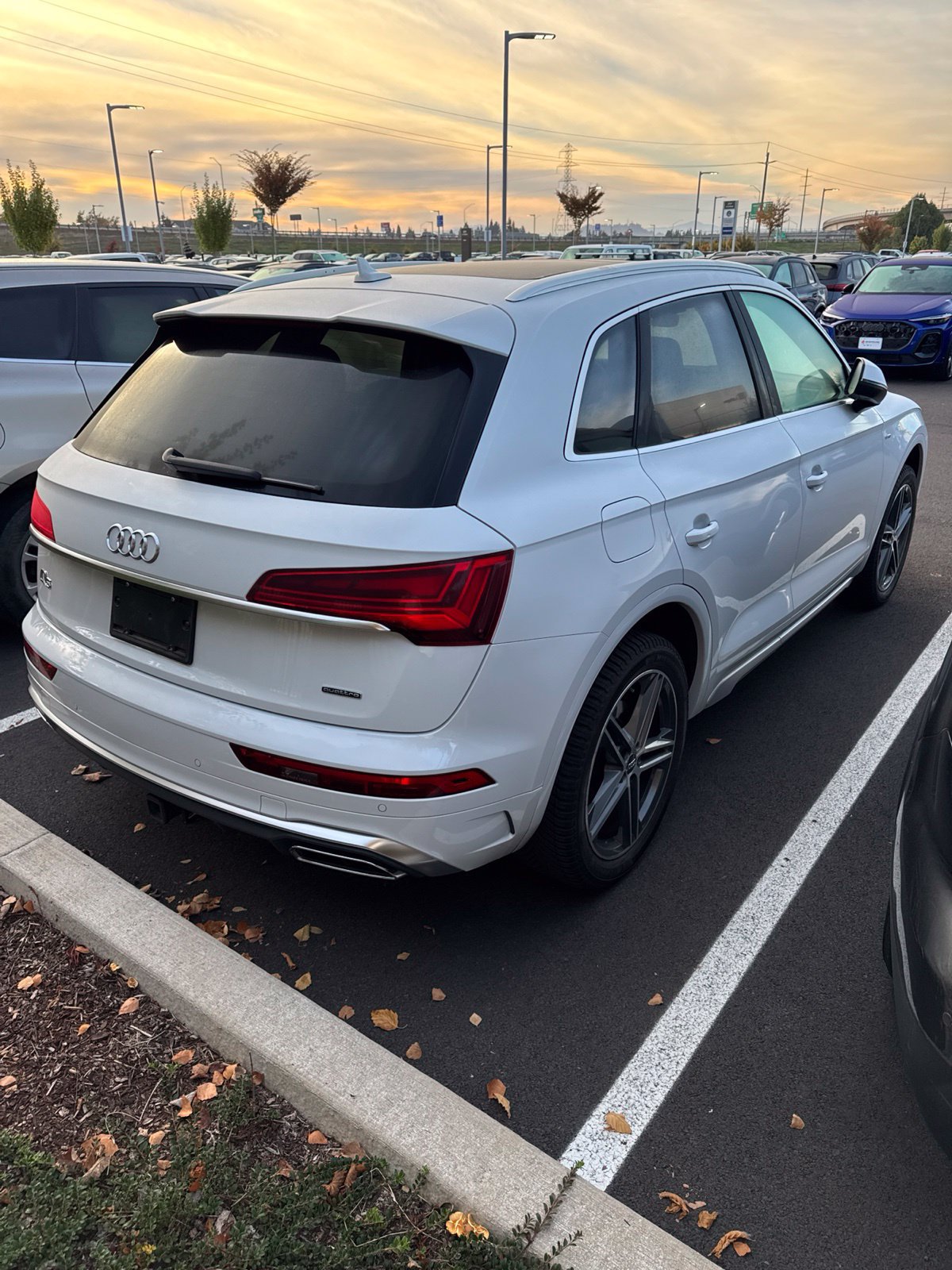 Used 2022 Audi Q5 2.0T Premium Plus AWD/4WD image 8