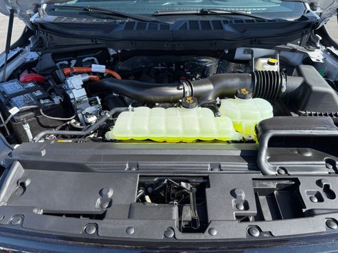 New 2025 Ford F150 XLT w/ Equipment Group 302A MID image 20