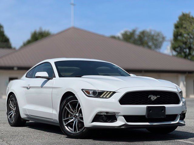 Used 2017 Ford Mustang Premium w/ Equipment Group 201A RWD image 3