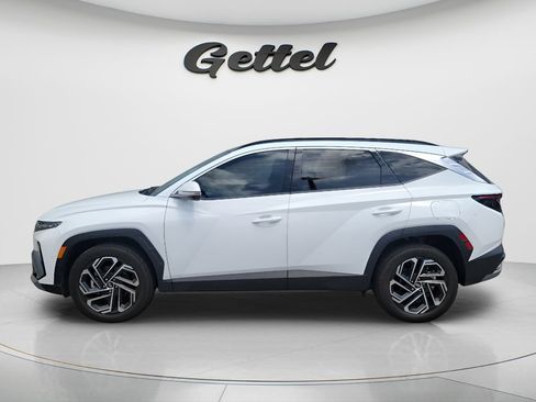Used 2025 Hyundai Tucson Limited AWD/4WD image 8