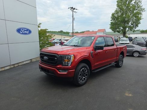 Used 2023 Ford F150 XLT w/ Equipment Group 302A High AWD/4WD image 2