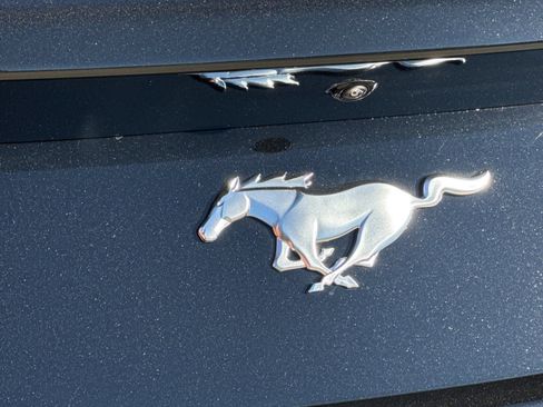 New 2026 Ford Mustang Coupe image 32