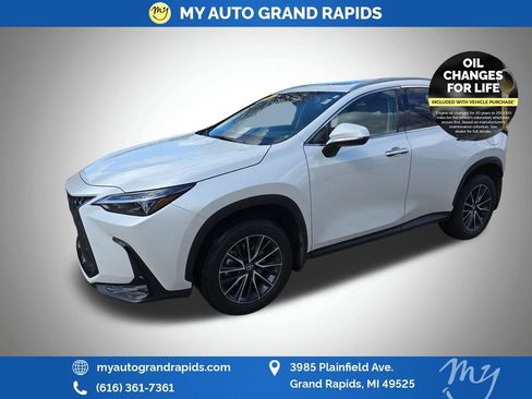 Used 2024 Lexus NX 350 AWD w/ Cold Area Package image 6