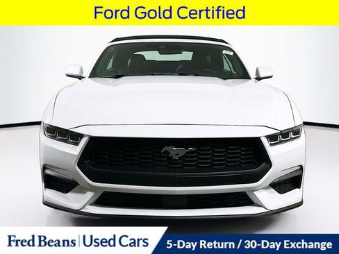 Used 2024 Ford Mustang Premium image 2