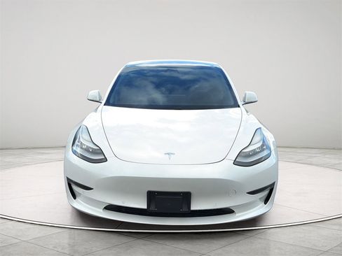 Used 2019 Tesla Model 3 Standard Range Plus image 20