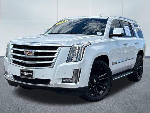 Used 2020 Cadillac Escalade Luxury AWD/4WD image 1