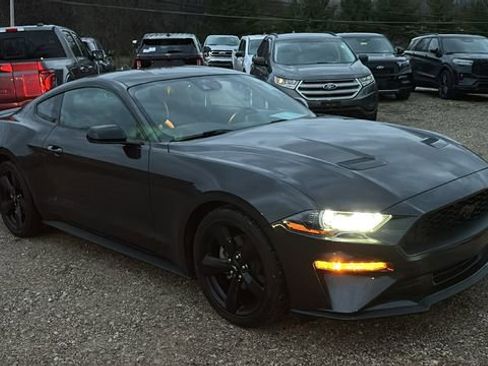 Used 2023 Ford Mustang EcoBoost w/ Equipment Group 101A image 26