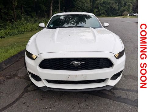 Used 2016 Ford Mustang Premium RWD image 3