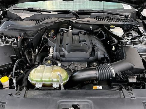Used 2015 Ford Mustang Premium w/ Equipment Group 201A RWD image 31