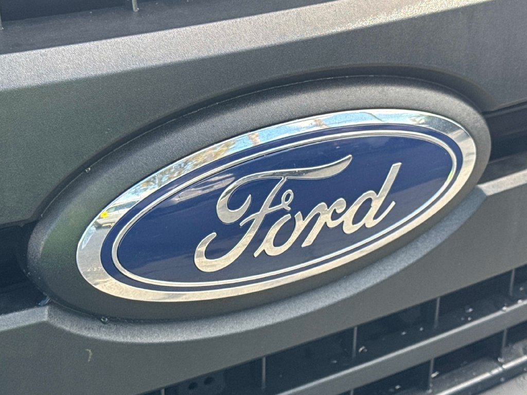 Used 2019 Ford F150 XL w/ Equipment Group 101A Mid RWD image 9