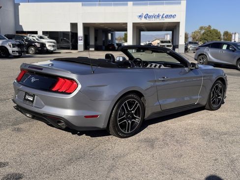 Certified 2022 Ford Mustang Premium image 12