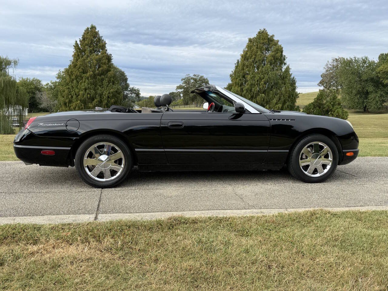 Used 2002 Ford Thunderbird RWD image 12